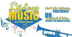 Lifelong Music in Schools